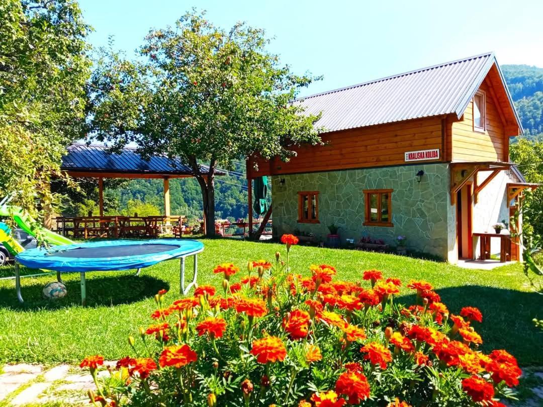 Kraljska Koliba - Kralje'S Cottage Andrijevica Bagian luar foto