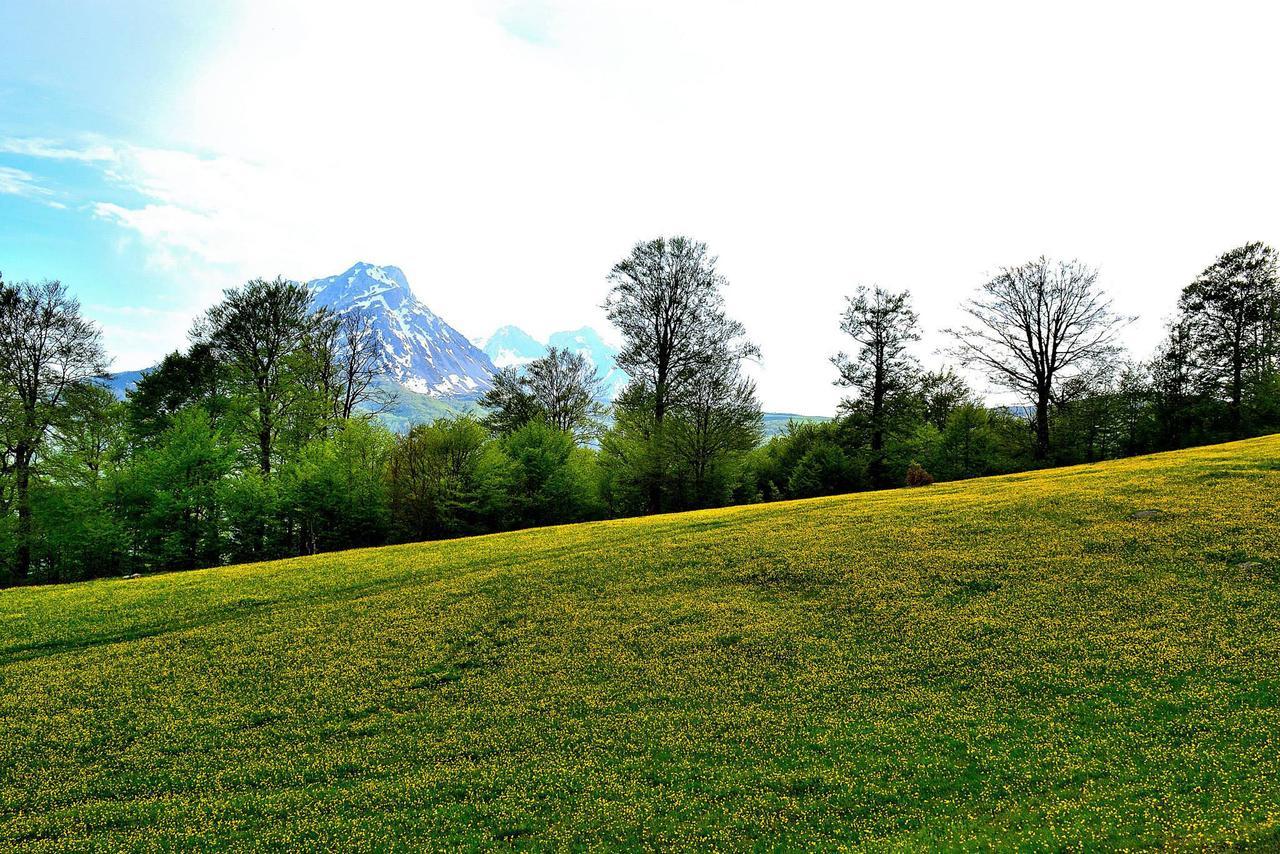 Kraljska Koliba - Kralje'S Cottage Andrijevica Bagian luar foto