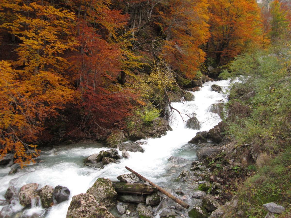 Kraljska Koliba - Kralje'S Cottage Andrijevica Bagian luar foto