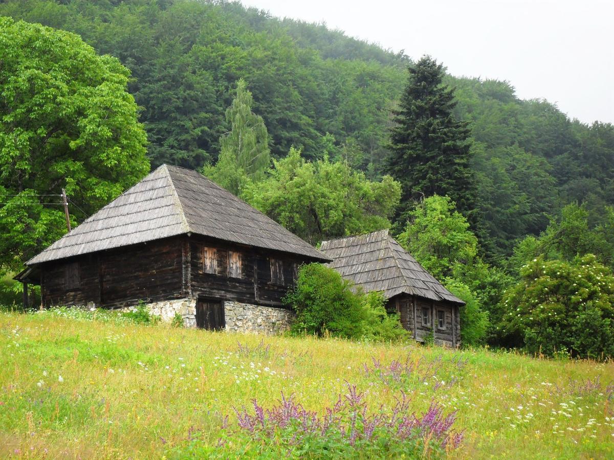 Kraljska Koliba - Kralje'S Cottage Andrijevica Bagian luar foto