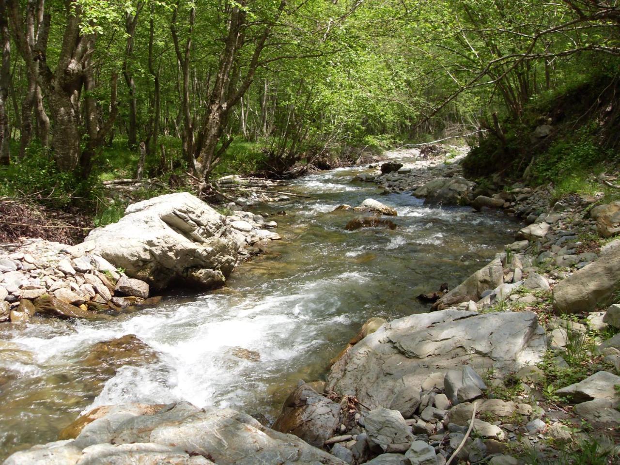 Kraljska Koliba - Kralje'S Cottage Andrijevica Bagian luar foto